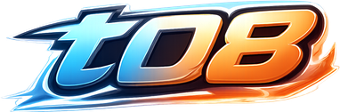t08